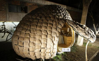 “蛋形蝸居”VS美國(guó)創(chuàng)意別墅 誰更勝一籌？