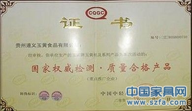 企業(yè)榮譽證書 企業(yè)資質