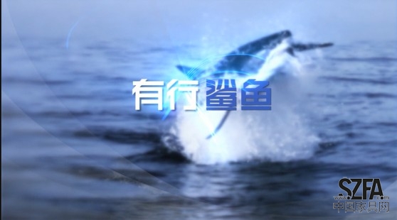 有行鯊魚(yú)拼板膠 (3)