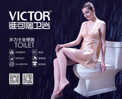 維可陶衛(wèi)?。寒?dāng)隱形房客，悄然毀滅家庭安全