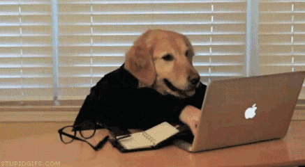 “816不加班”不只是口號，更是公司對顧家人的承諾,“816不加班”不只是口號,更是公司對顧家人的承諾