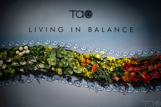 1481879066696331.jpg 圖002.jpg