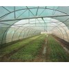 山東質量好的溫室大棚——生態(tài)園藝溫室大棚