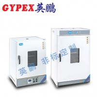 廣州立式鼓風干燥箱，工業(yè)干燥箱