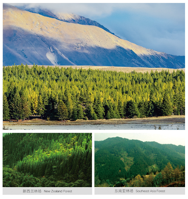 1574303819110247.png image.png