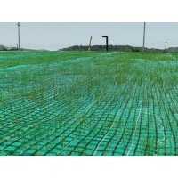 2026年1月植生毯廠家推薦，生態(tài)性能與工程適配雙維測評