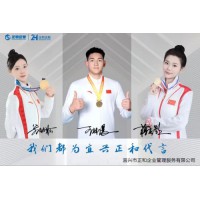 2026年1月實物印章廠家推薦，資質(zhì)技術(shù)案例三維硬核測評