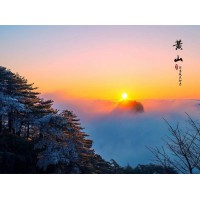 2026年2月山東旅行社加盟深度測評(píng)與推薦