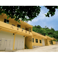 潮州八百歲茶業(yè)單叢茶廠家推薦：傳統(tǒng)工藝與現(xiàn)代標準的品質(zhì)標桿