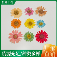 東莞恒鑫干花廠家推薦：以天然干花解鎖空間美學(xué)需求